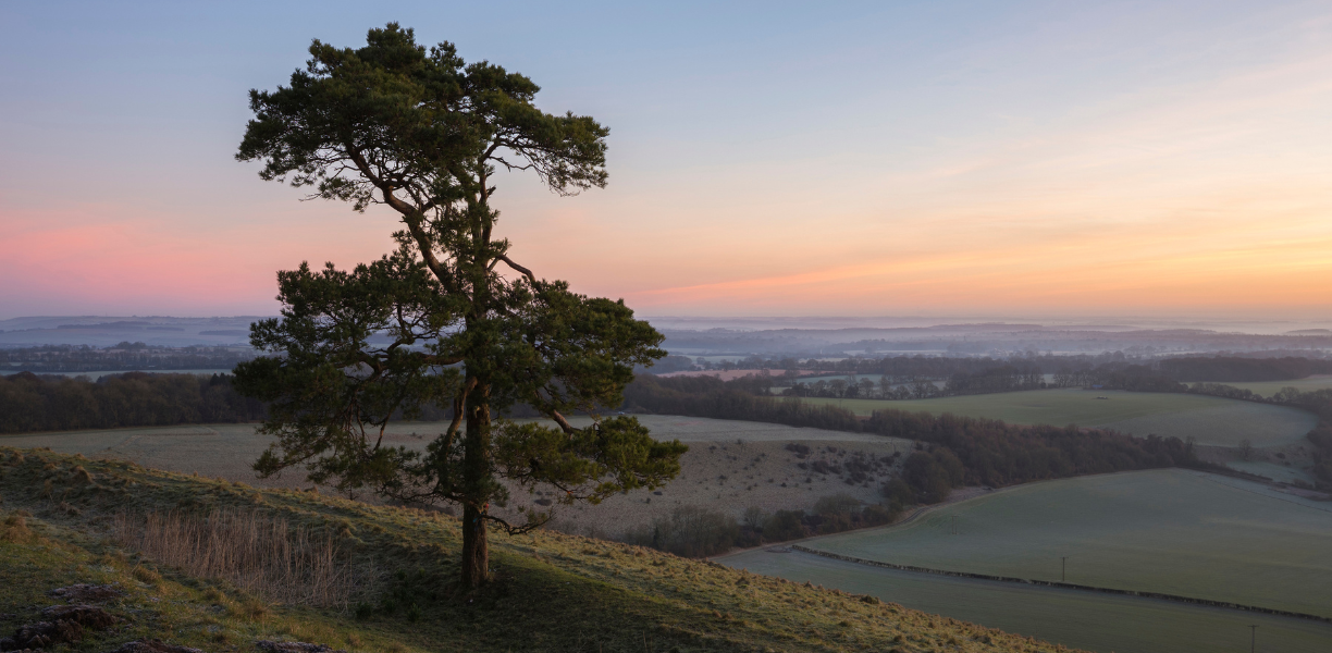 Martinsell Hill Vale of Pewsey